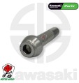 PERNO PINZA FRENO PER KAWASAKI ZX 6 RR 600 2004 NINJA ZX 6 R 636 2003 2004 10X50