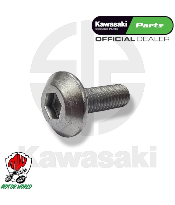 VITE PERNO ORIGINALE KAWASAKI 6X18 6 X 18 IN ACCIAIO