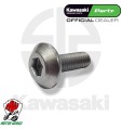 VITE PERNO ORIGINALE KAWASAKI 6X18 6 X 18 IN ACCIAIO