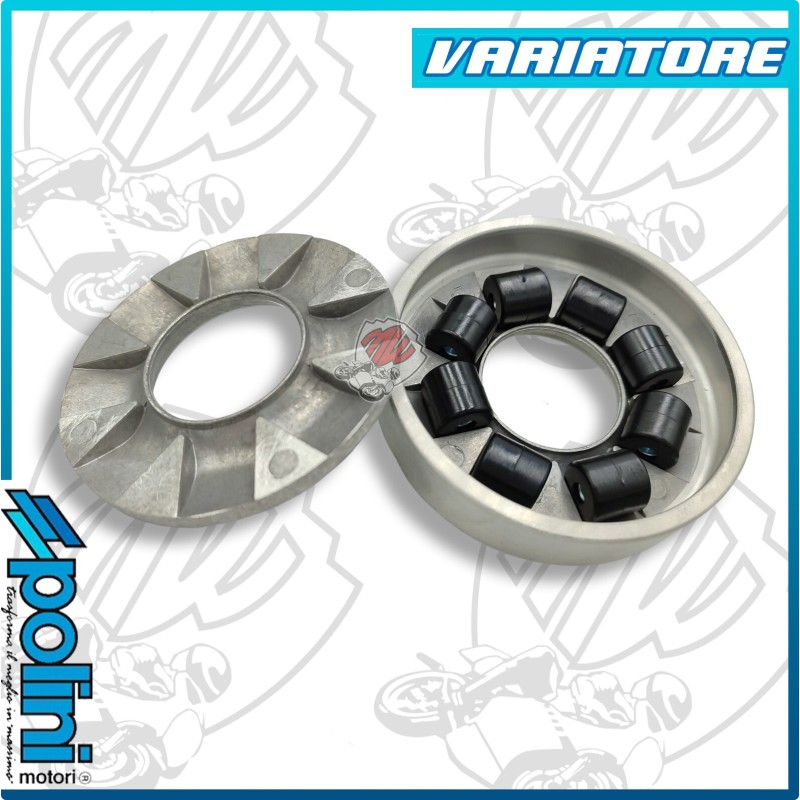 VARIATORE UNIVERSALE CICLOMOTORE PIAGGIO CIAO 241.200 VARIATORE UNIVERSALE CICLOMOTORE PIAGGIO CIAO 241.200