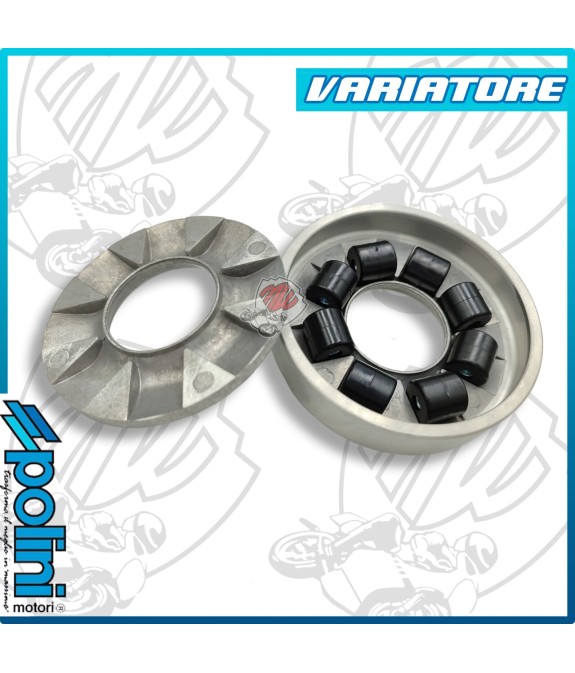 VARIATORE UNIVERSALE CICLOMOTORE PIAGGIO CIAO 241.200