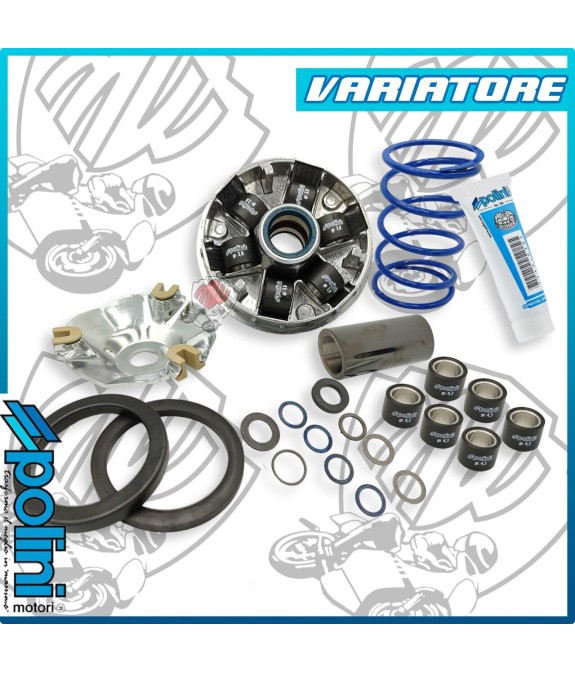 241.749 VARIATORE HI-SPEED PIAGGIO EVO 2 D 16 - 12,5 gradi DNA RUNNER STALKER