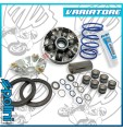 241.749 VARIATORE HI-SPEED PIAGGIO EVO 2 D 16 - 12,5 gradi DNA RUNNER STALKER