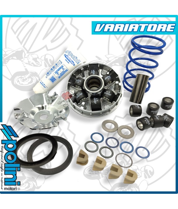 VARIATORE HI-SPEED PIAGGIO EVOLUTION 2 NRG MC3 SFERA ZIP STALKER RUNNER DNA SR