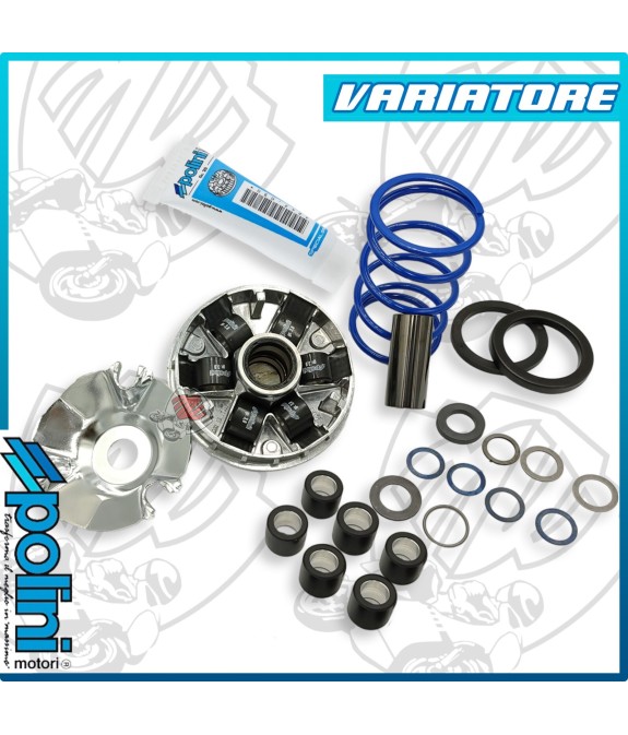 VARIATORE HI-SPEED PIAGGIO EVOLUTION 2 LIBERTY NRG MC3 ZIP STALKER RUNNER DNA SR