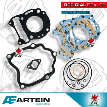 SERIE DI GUARNIZIONI TOP-END SMERIGLIO ARTEIN