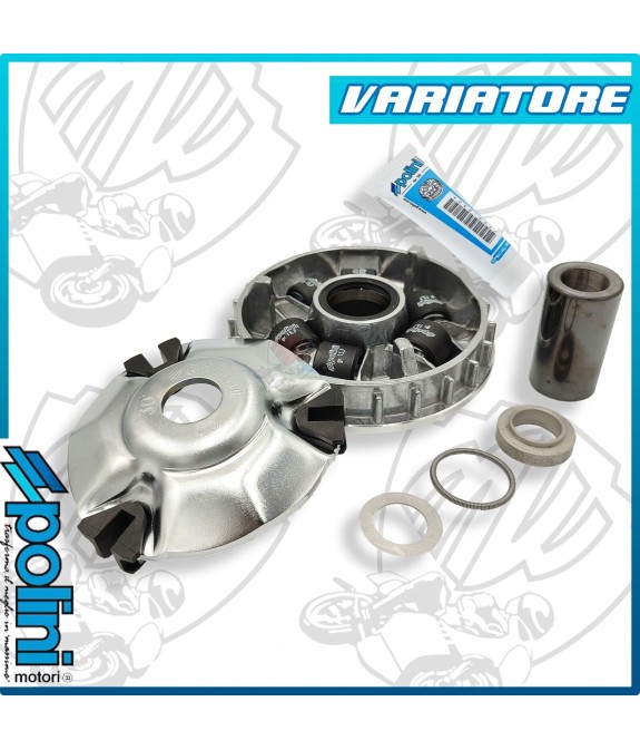 VARIATORE HI-SPEED PIAGGIO GILERA RUNNER 125 180 2T HEXAGON SR 125 150 SKIPPER