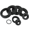 KIT GRUPPO TERMICO ALBERO GUARNIZIONI PARAOLI MINARELLI AM6 YAMAHA TZR 50
