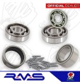 KIT REVISIONE ALBERO MOTORE CUSCINETTI CAMBIO RUOTA PIAGGIO VESPA PX 125 150 200 KIT REVISIONE ALBERO MOTORE CUSCINETTI CAMBIO RUOTA PIAGGIO VESPA PX 125 150 200