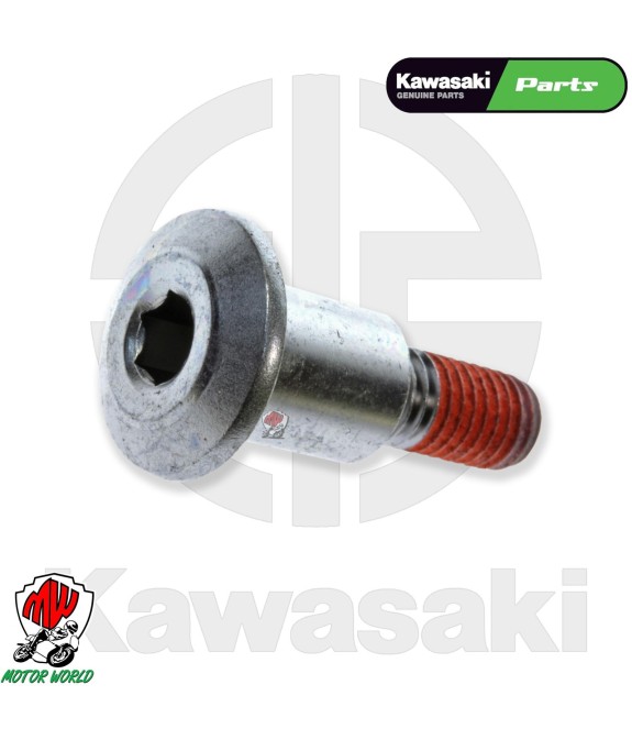 PERNO PER PRESELETTORE CAMBIO ORIGINALE KAWASAKI NINJA ZX 10R 1000 2008 2010