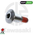 PERNO PER PRESELETTORE CAMBIO ORIGINALE KAWASAKI NINJA ZX 10R 1000 2008 2010