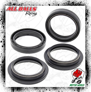 Kit Paraoli Parapolvere Forcella TM Racing MX 250 F 2002
