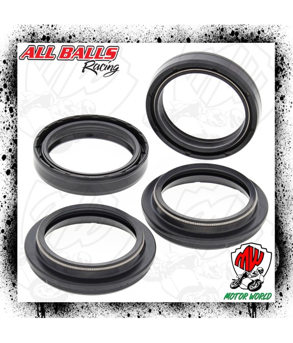 Kit Paraoli Parapolvere Forcella TM Racing MX 250 F 2002