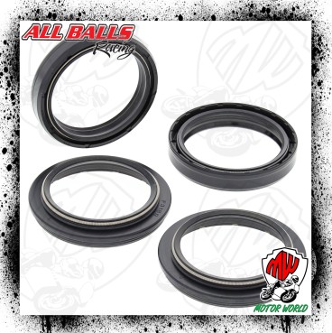 Kit Paraoli Parapolvere Forcella TM Racing MX 250 F 2011