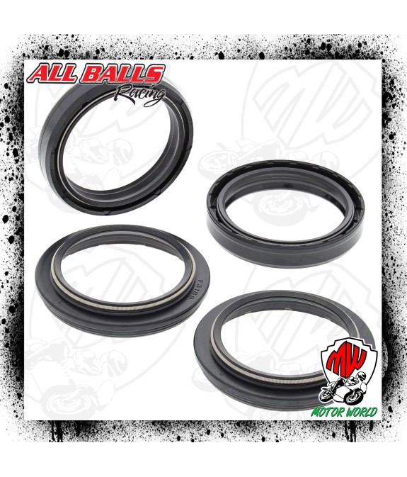 Kit Paraoli Parapolvere Forcella TM Racing MX 250 F 2011