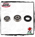 KIT CUSCINETTI PIVOTRUOTA ANTERIORE Kawasaki KLX 110 L 2019