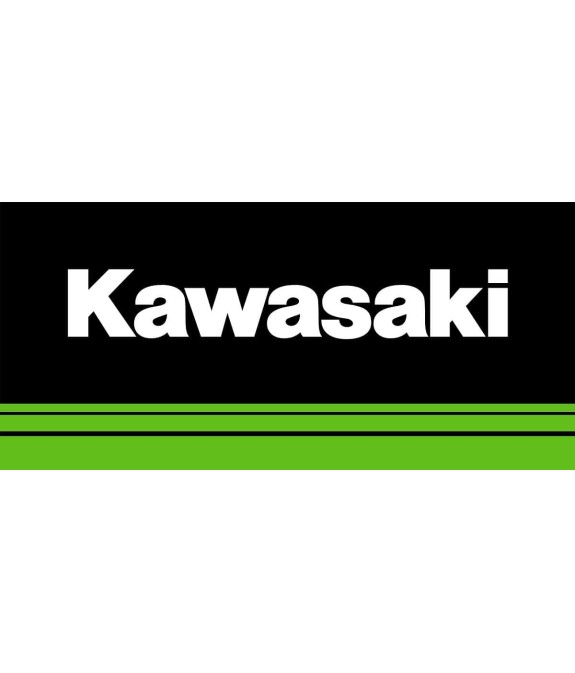 SET BORSE INTERNE 2x28L ORIGINALE KAWASAKI