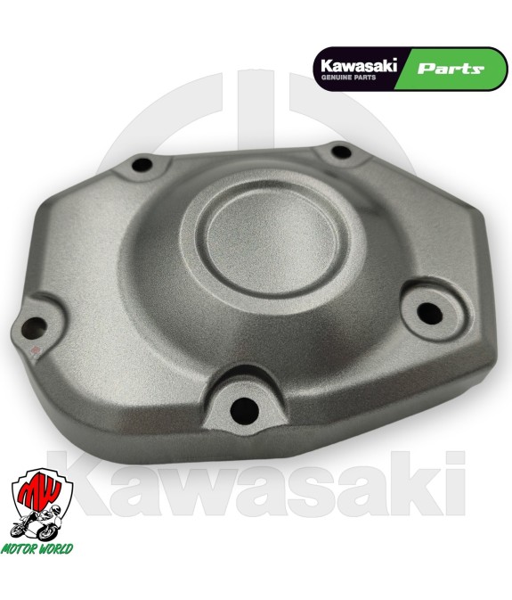 COPERCHIO PICK UP ORIGINALE KAWASAKI Z 900 2017 2018 2019