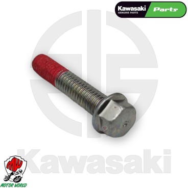 BULLONE PERNO CARTER MOTORE ORIGINALE KAWASAKI PER KLZ VERSYS 1000 2017