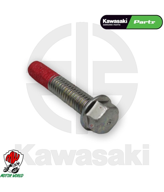 BULLONE PERNO CARTER MOTORE ORIGINALE KAWASAKI PER KLZ VERSYS 1000 2017