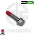 BULLONE PERNO CARTER MOTORE ORIGINALE KAWASAKI PER KLZ VERSYS 1000 2017