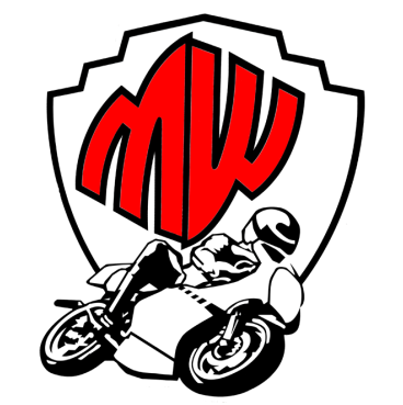 CENTRALINA CDI ECU Yamaha XV 250 V-Star 2016 2017 2018 2019 2020