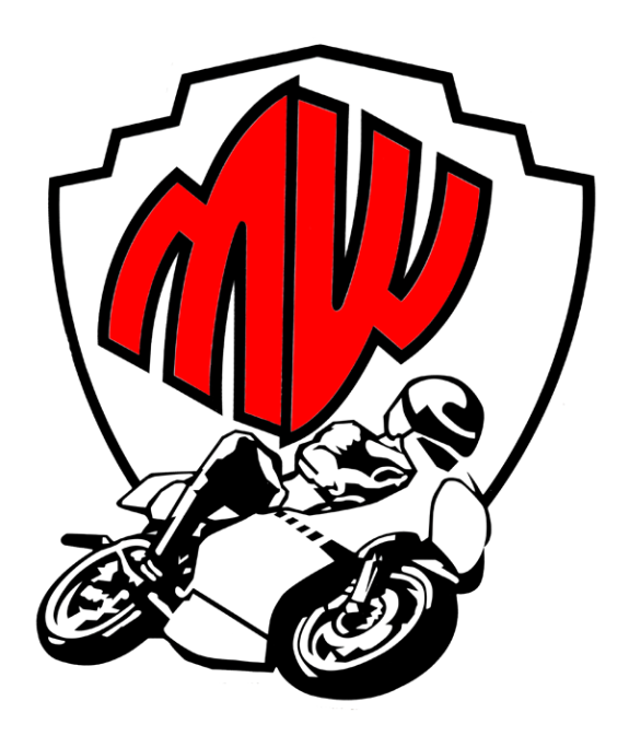 CENTRALINA CDI ECU Yamaha XV 250 V-Star 2016 2017 2018 2019 2020