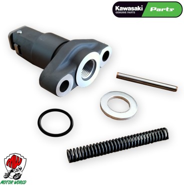 Tenditore catena distribuzione + oring 18.8 X 1.9 KAWASAKI Z 800 E 2013