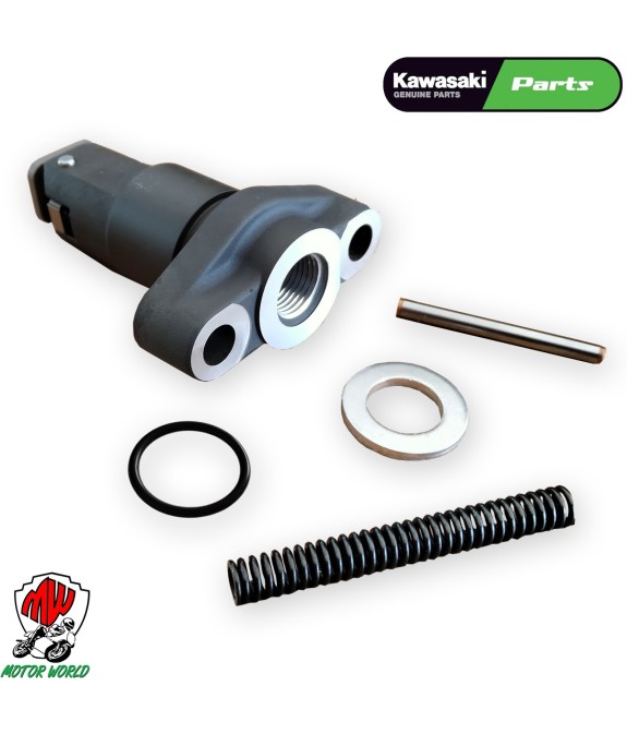 Tenditore catena distribuzione + oring 18.8 X 1.9 KAWASAKI Z 800 E 2013
