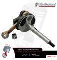ALBERO MOTORE SPINOTTO 10 PER CIAO 50 1981-2004 BOSS BRAVO GRILLO SI SUPERBRAVO