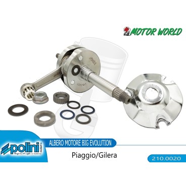 210.0020 ALBERO MOTORE PIAGGIO - GILERA Ø39,3 BIELLA 85 mm