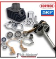 KIT REVISIONE MOTORE ALBERO CILINDRO CUSCINETTI PARAOLI PIAGGIO SI 50