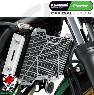 GRIGLIA PROTEZIONE RADIATORE ORIGINALE KAWASAKI NINJA 650 2017 - 2025