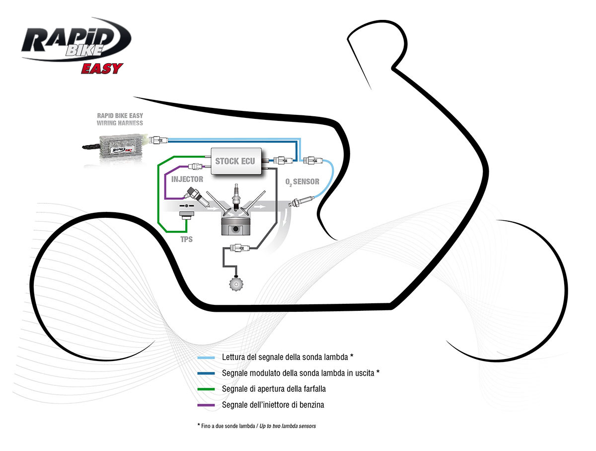 Zusätzliche Kontroleinheit Komplett RAPID BIKE Easy II